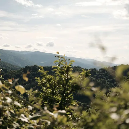 Feriehus Peak & Pause Bistrica pri Limbusu