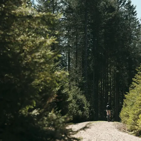 Tatil Evi Peak & Pause