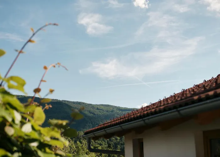 Peak&pause Near Maribor *