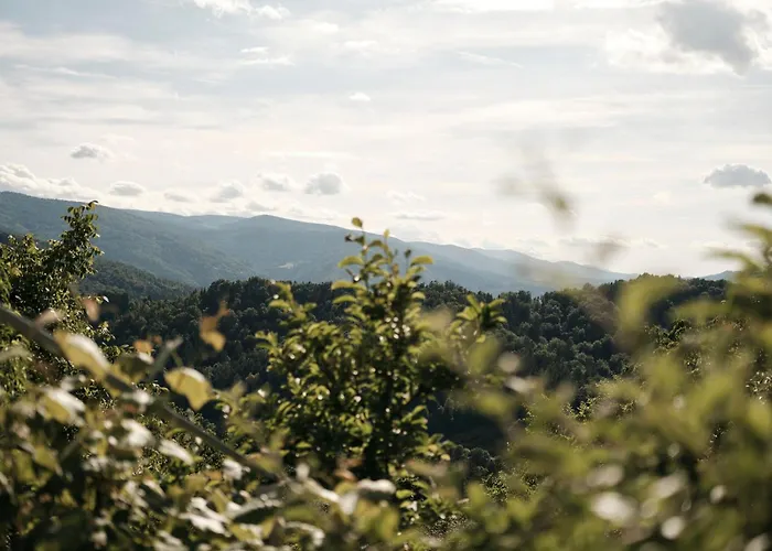 Ferienhaus Peak&pause Near Maribor Bistrica pri Limbusu
