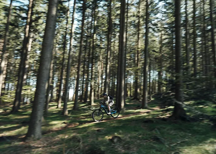 Peak&pause Near Maribor